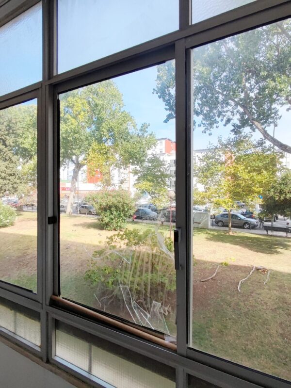 IMG-CP_1034V2 (12) IMG-CP_1034V2 (12)