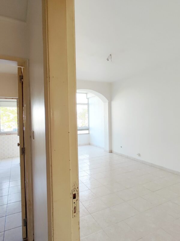 IMG-CP_1034V2 (3) IMG-CP_1034V2 (3)