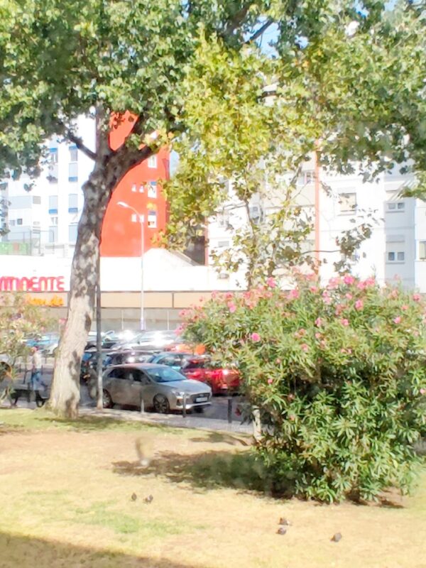 IMG-CP_1034V2 (5) IMG-CP_1034V2 (5)