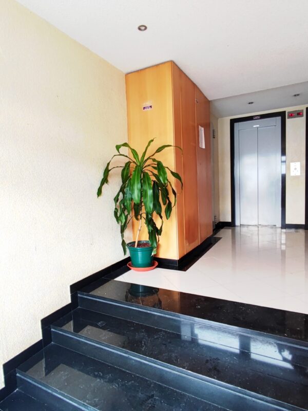 1771434734809 1771434734809