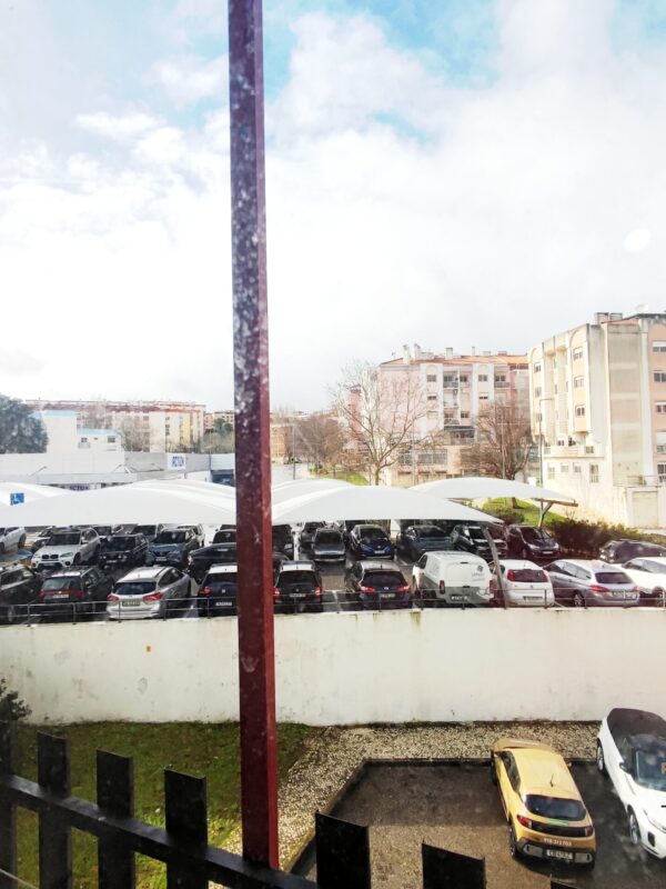 1771434737326 1771434737326