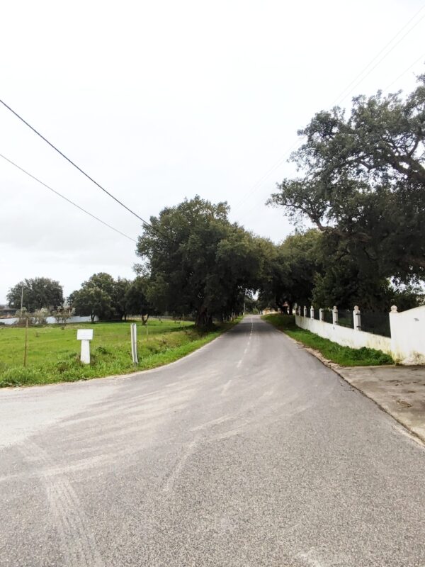 IMG-CP_1047 (1) IMG-CP_1047 (1)