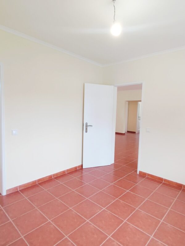 IMG-CP_1047 (20) IMG-CP_1047 (20)