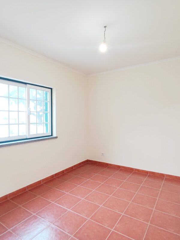 IMG-CP_1047 (21) IMG-CP_1047 (21)