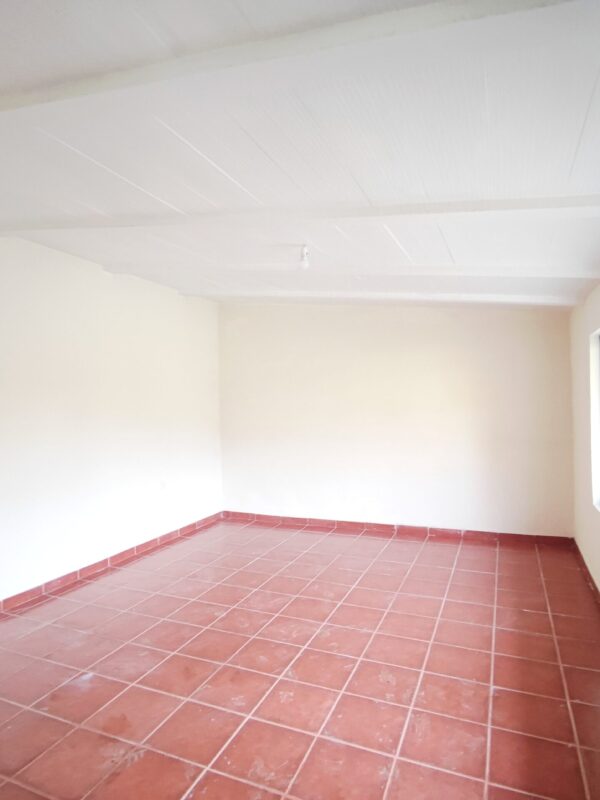 IMG-CP_1047 (28) IMG-CP_1047 (28)