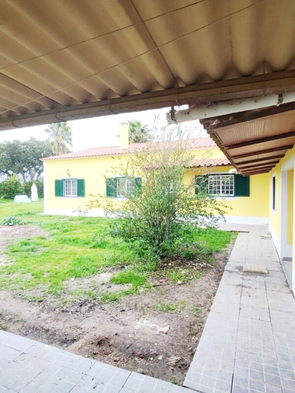 IMG-CP_1047 (29) IMG-CP_1047 (29)