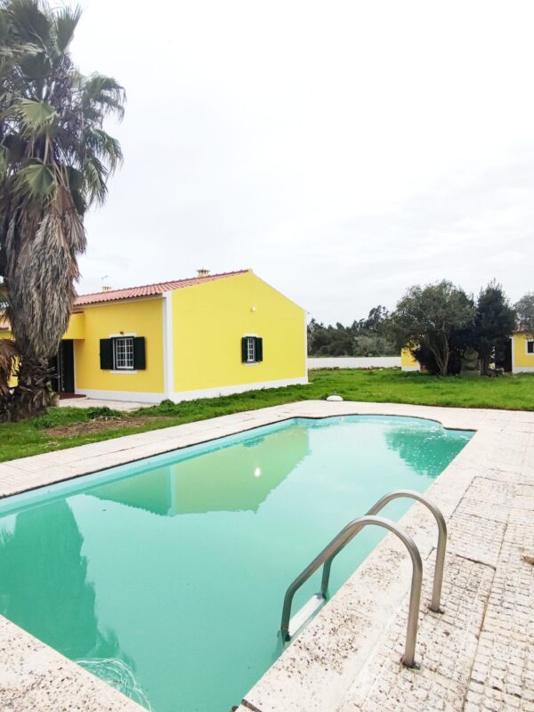 IMG-CP_1047 (3) IMG-CP_1047 (3)