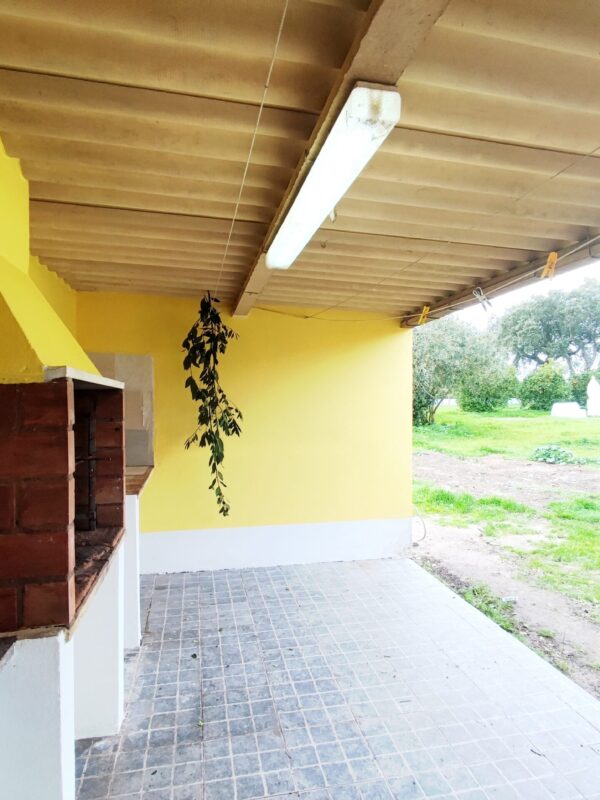 IMG-CP_1047 (30) IMG-CP_1047 (30)