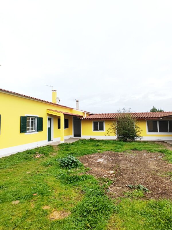 IMG-CP_1047 (32) IMG-CP_1047 (32)