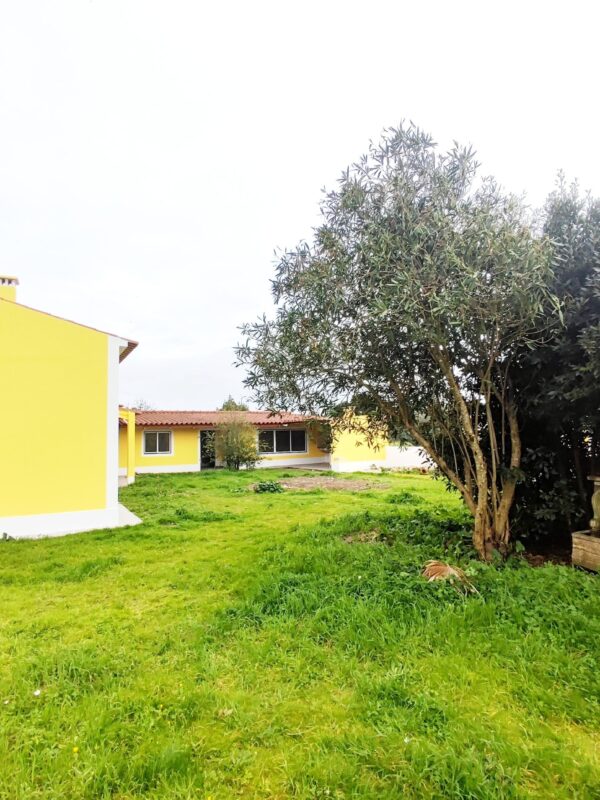 IMG-CP_1047 (35) IMG-CP_1047 (35)