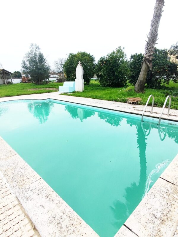 IMG-CP_1047 (37) IMG-CP_1047 (37)