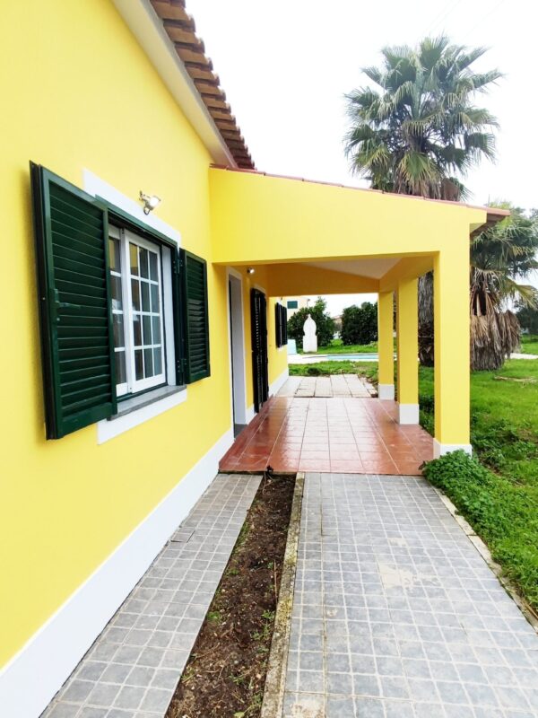 IMG-CP_1047 (39) IMG-CP_1047 (39)