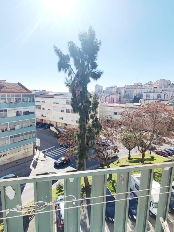 IMG-CP_1051 (16) IMG-CP_1051 (16)