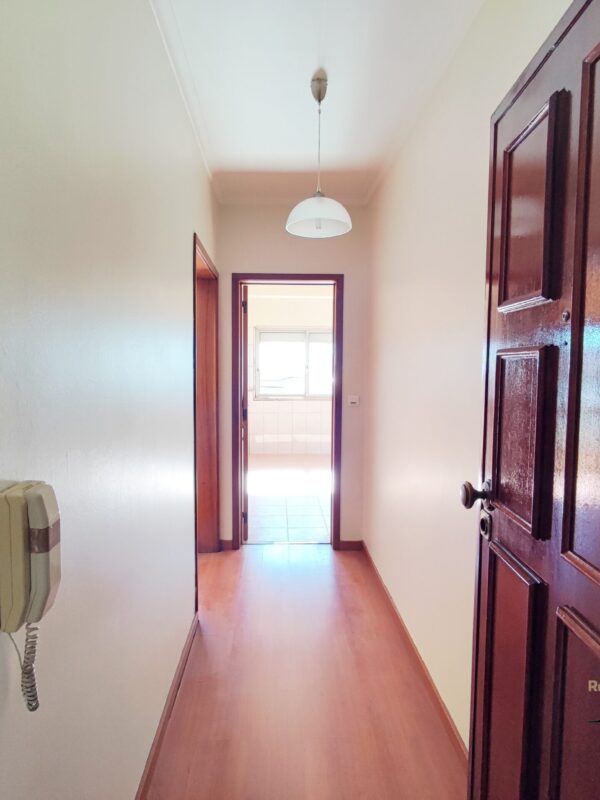 IMG-CP_1051 (21) IMG-CP_1051 (21)